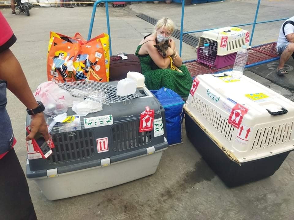 relocate-paws-clininc.jpeg