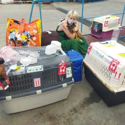 relocate-paws-clininc.jpeg
